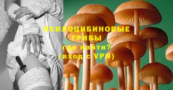 PSILOCYBIN Вязьма